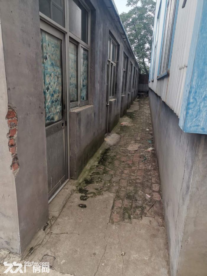 厂房出租洛城街道永泰路-图2