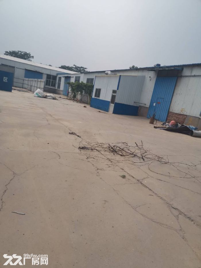 厂房出租洛城街道永泰路-图4