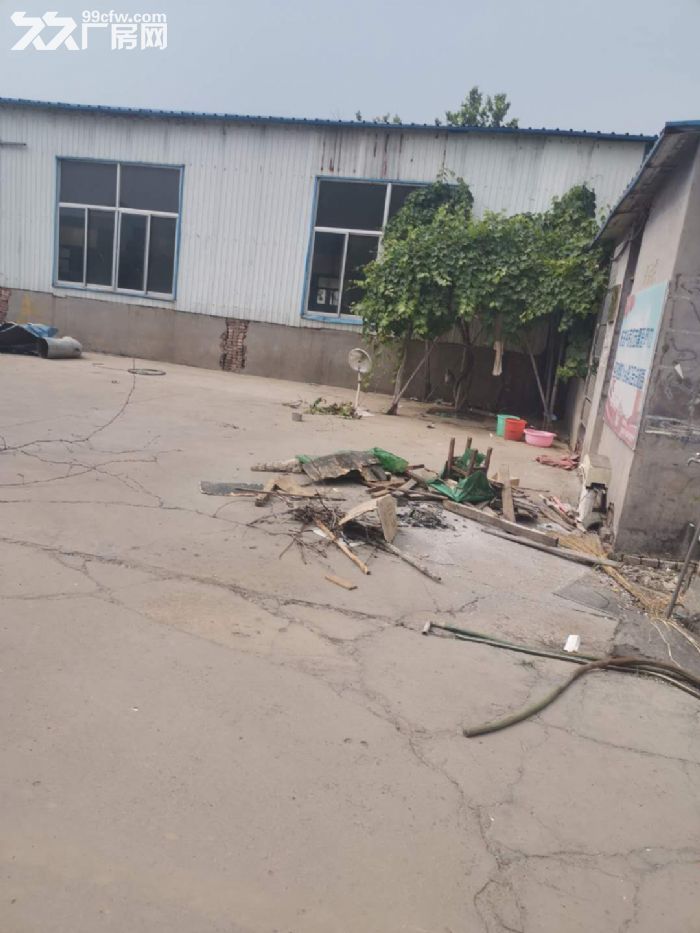 厂房出租洛城街道永泰路-图6