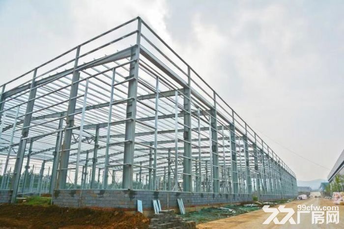 3000&minus;30000全新钢结构现房厂房出租 环评安评等一切手续包办 配套齐全-图3