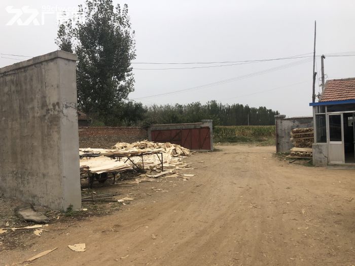 个人真实出租，建设用地使用权，厂房。-图4