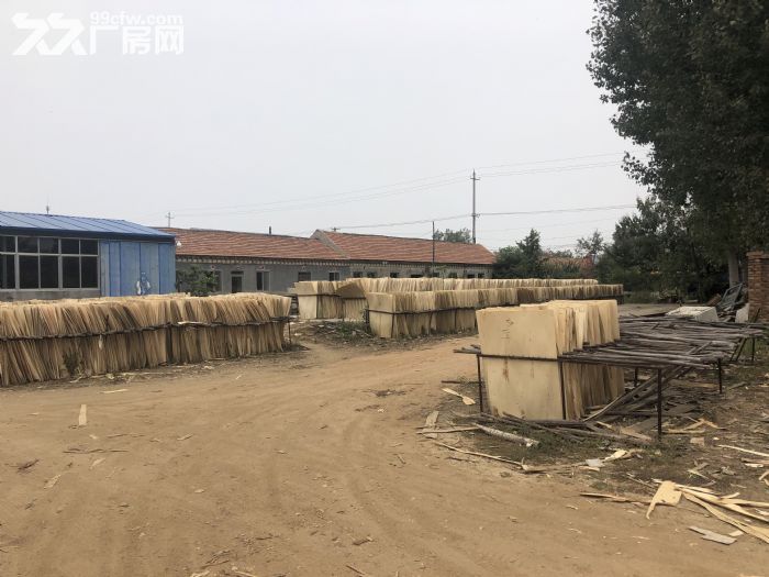 个人真实出租，建设用地使用权，厂房。-图7