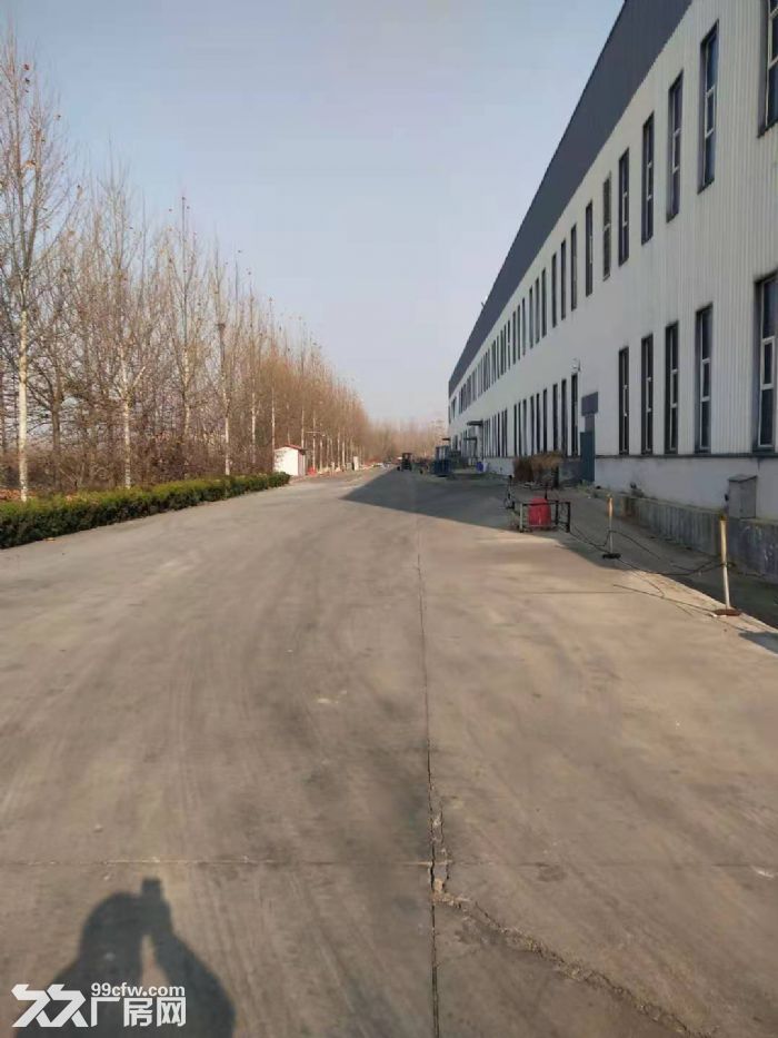 潍坊综合保税区标准厂房出租-图6