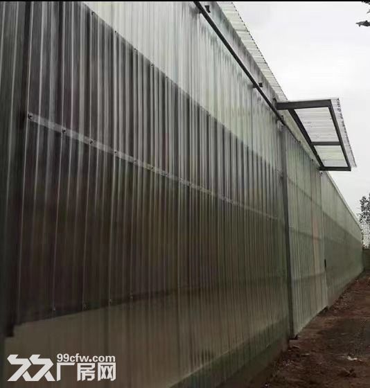 新：吉房出租、独门独院、厂型方正、位置便利、带有办公室-图3