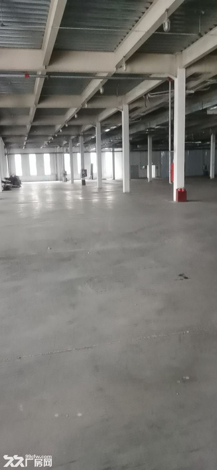 潍坊综合保税区仓库出租-图4