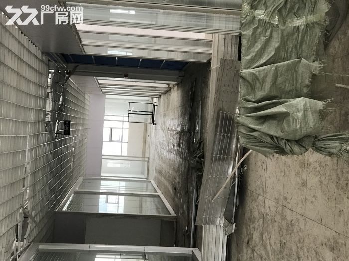 明诚市场标准厂房出租、9000平方、可分租、消防验收和土地、房产证件齐全-图7