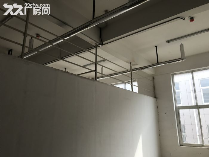 明诚市场标准厂房出租、9000平方、可分租、消防验收和土地、房产证件齐全-图8