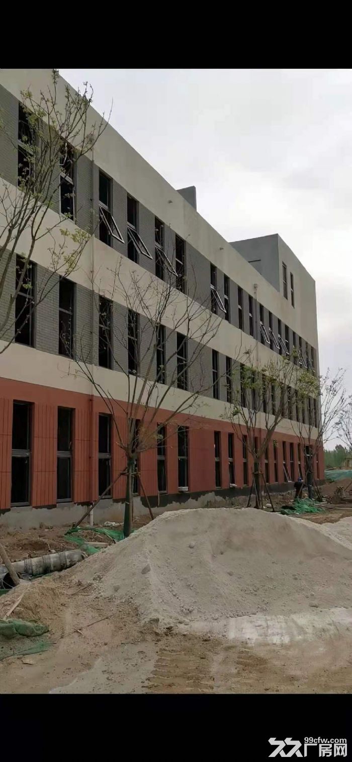 金科产业园新建标准厂房出租